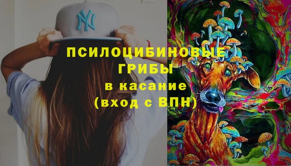 PSILOCYBIN Алексин