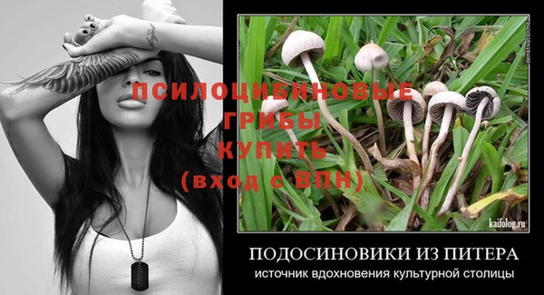 PSILOCYBIN Алексин
