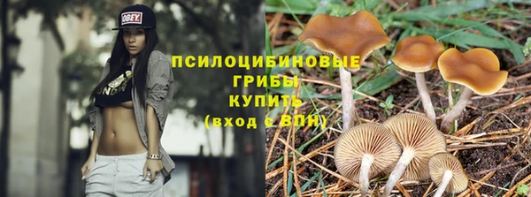 прущие грибы Приозерск