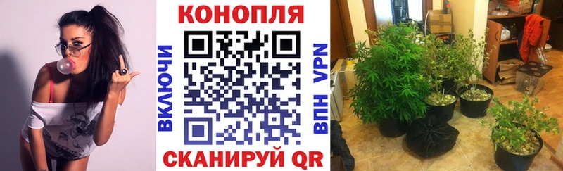 Канабис тримм  где продают наркотики  Всеволожск 